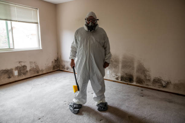 Best Certified Mold Removal  in Citrus Springs, FL